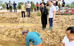 Phát hiện cổ vật thời Trần khi đào móng nhà ở Ninh Bình