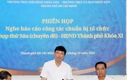 TPHCM bàn quy hoạch tầm nhìn 100 năm, khu thương mại tự do