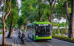 Đồng Nai định mở tuyến xe buýt dài hơn 100 km
