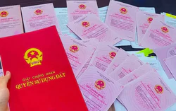 Người dân phải làm gì khi đã bán đất nhưng vẫn nhận thông báo nộp thuế?