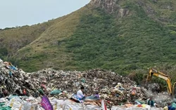 Bãi bỏ quyết định chuyển 1,92 ha rừng Côn Đảo làm nhà máy xử lý rác