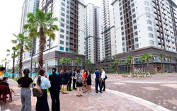 VARS: Thị trường bất động sản không đóng băng, khách liên hệ tư vấn, xem nhà vẫn ở mức cao

