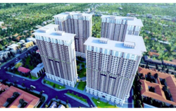 Bất động sản Giang Nam được chuyển mục đích sử dụng hơn 3,3ha đất để làm dự án