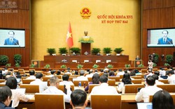 Quốc hội nghe báo cáo 3 dự án luật về đấu giá tài sản, nuôi con nuôi và luật sư