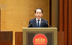 Đề xuất chế tài xử lý tình trạng “cò mồi”, “bỏ cọc” trong đấu giá tài sản