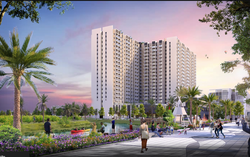 Bất ngờ một doanh nghiệp bất động sản trở thành cổ đông lớn của Cao su Miền Nam