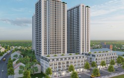 Bình Phát được giao gần 2,6ha đất làm nhà ở xã hội tại phường Lê Chân, Hải Phòng