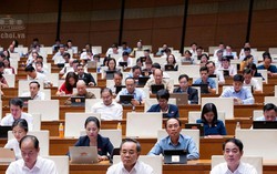 Dự thảo Luật Nhà ở (sửa đổi): Đột phá chính sách phát triển nhà ở cho thuê