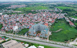 Hà Nội giao gần 4.600m2 đất tại Đông Anh cho Vinadic làm dự án