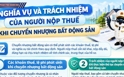 Các khoản thuế, lệ phí phát sinh khi chuyển nhượng bất động sản
