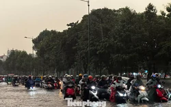 Từ những trận mưa lớn ở TPHCM: Bao giờ đường về nhà hết ngập?