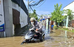 Chuyên gia hiến kế để TPHCM thoát ngập