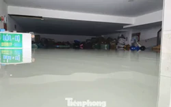 Tầng hầm biệt thự, ngân hàng ở TPHCM ngập sâu, nhiều tài sản ngâm trong nước