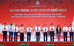 Hà Nội khởi công, khánh thành Safari Ba Vì, trường đua ngựa Sóc Sơn và 16 dự án