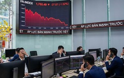 Dòng tiền rút mạnh trước Tết, thị trường chứng khoán chìm trong sắc đỏ
