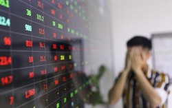 Gia đình Chủ tịch DIG vừa bị bán giải chấp gần 12 triệu cổ phiếu