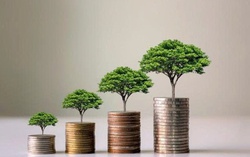 Loạt doanh nghiệp chốt quyền trả cổ tức trong tuần từ ngày 16/3-20/3