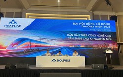 Hòa Phát và công ty con họp ĐHĐCĐ thường niên cùng một ngày