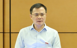 Lãnh đạo Viettel: Cần mở rộng đầu tư quốc tế để đạt tăng trưởng hai con số