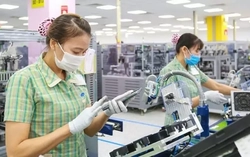 Vì sao Việt Nam nhập siêu 3,6 tỷ USD trong 3 tháng đầu năm?