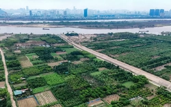 Hà Nội: Quy định chi tiết công trình được xây dựng trên đất nông nghiệp khu vực bãi sông