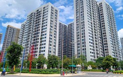 Không chỉ Hà Nội, giao dịch chung cư TP.HCM cũng giảm tới 63%