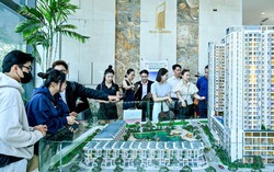 Phân khúc 75–80 triệu/m² trở thành điểm cân bằng thị trường