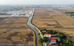 Bỏ cọc hàng loạt sau 'sốt' đấu giá đất vùng quê