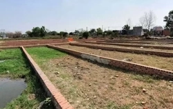 Rà soát diện rộng tình trạng phân lô bán nền tự phát