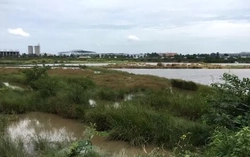 Hơn 2.000 ha đất bị loại khỏi danh sách thí điểm làm nhà ở thương mại
