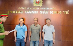 Ba "đất tặc" bị khởi tố