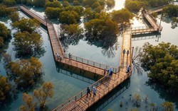Cú chuyển mình thần kỳ của Hạ Long: Sắp có công viên câu cá lớn nhất thế giới, rộng gấp 45 lần sân Mỹ Đình, quy mô lên đến 800 ha