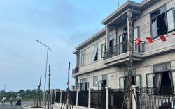Cây xanh chết hàng loạt tại khu đô thị mới ở TP Huế: Chủ đầu ra "biện pháp mạnh"