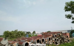 Hồ sơ bị 'đóng băng' gần 10 năm, tỉnh lạnh lùng nói 'không có vướng mắc'