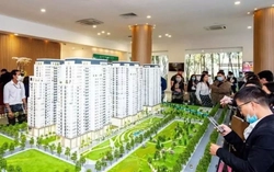 Quy định đánh đố, nghịch lý 'cải lùi' giữa thời đại số hóa toàn diện