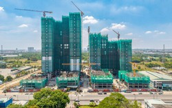 La Pura cất nóc tòa tháp đầu tiên, đánh dấu một năm bứt tốc