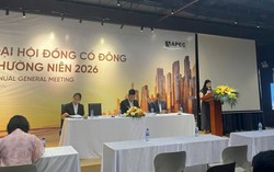 Thời đỉnh cao từng lãi 200 tỷ đồng, nay API chỉ đặt mục tiêu lợi nhuận 2026 gần 73 tỷ đồng, Chủ tịch nói gì?
