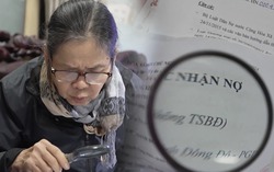 Vụ lừa đảo "kỳ nghỉ": Đây là lý do người cao tuổi dễ sập bẫy