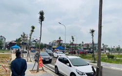 Phó Thủ tướng: Thay đổi tư duy phát triển từ "phân lô bán nền" sang phát triển các khu nhà ở cao tầng, chung cư
