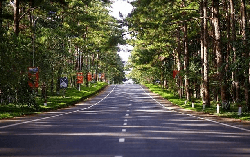 Thông tin về 2 sân bay tại tỉnh sở hữu “Đà Lạt thứ 2”: 1 trên núi và 1 trên biển