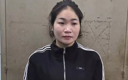 Nữ quái lừa đảo làm thủ tục đất đai, chiếm đoạt nhiều tỷ đồng