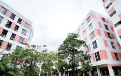 Dân Hà Nội "khát" nhà cho thuê giá hợp lý