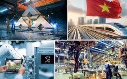 Kiến tạo các tập đoàn kinh tế Việt Nam: Cần một hệ sinh thái phát triển mới