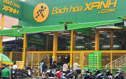 Mỗi ngày mở 3,5 cửa hàng trên toàn hệ thống, Bách Hóa Xanh âm thầm tăng hiện diện tại Hà Nội