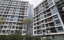 Chưa có bảng lương đủ liên tiếp 12 tháng, có đủ điều kiện hồ sơ mua nhà ở xã hội?