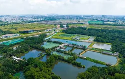 Diện mạo quy hoạch mới của 'siêu' khu đô thị 'treo' lâu đời nhất TPHCM