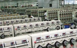 Một công ty trên sàn chỉ có 6 nhân sự báo lãi tăng trưởng 400%, chuẩn bị trả cổ tức 2.000 đồng/cp