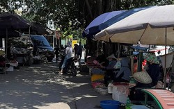 Vi phạm trật tự đô thị “di cư” vào ngõ ngách
