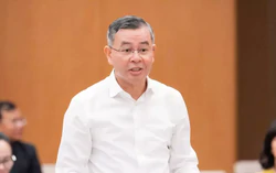 Đề xuất chính sách đặc thù cho dự án khu đô thị lấn biển tại Đà Nẵng 