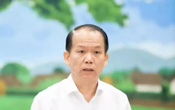 Bộ trưởng Tư pháp: ‘Phân lô bán nền đất ở là nơi xảy ra trục lợi lớn nhất’